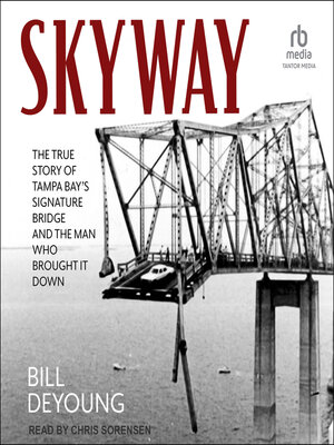 cover image of Skyway